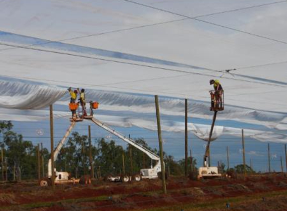 Netpro Tasmania Construction - Howrah, TAS