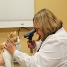 Northshore Animal Hospital