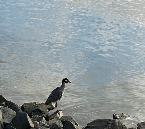 Marine Stadium Park - Long Beach, CA