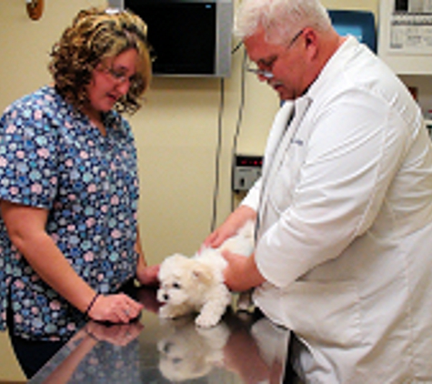 Elyria Animal Hospital - Elyria, OH