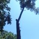 Hidden Valley Tree Service