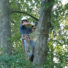 Gray's Tree Service