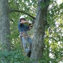 Gray's Tree Service