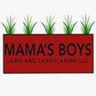 Mama's Boy Lawn and Landscape