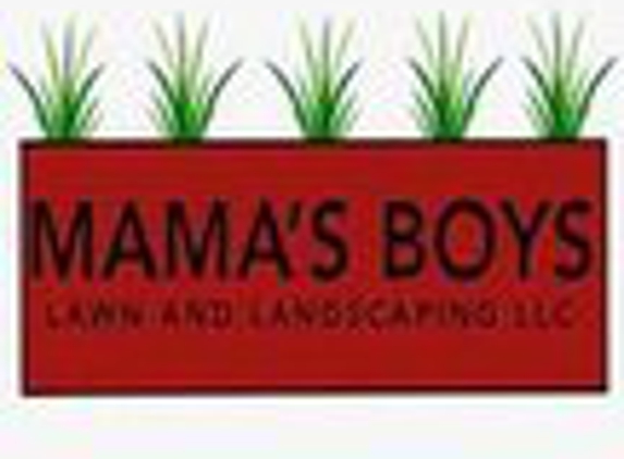 Mama's Boy Lawn and Landscape - Hanover, MN