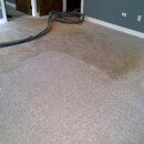 Bulldog Carpet Cleaning - Carpet & Rug Cleaners