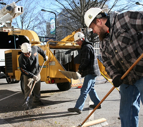 Schneider Tree Care - Tryon, NC