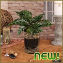 Oberer's Flowers Inc - Florists