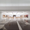 Apple Woodland gallery