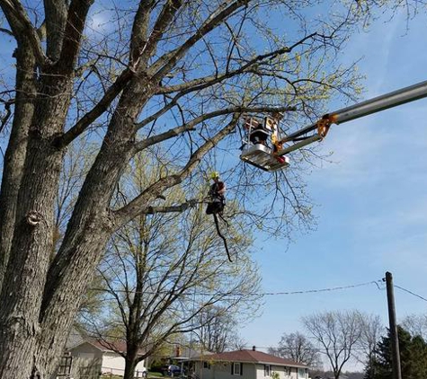 Old Town Tree Service - Pendleton, IN