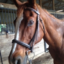 Fisherville Farms - Horse Rentals