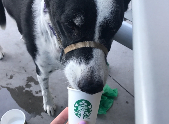 Starbucks Coffee - Tempe, AZ