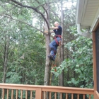 Bledsoe Tree Service