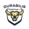 Durabilis Roofing gallery