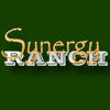 Synergy Ranch gallery