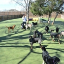 Bark Hotel - Dog Day Care