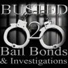 Busted 2 Bail Bonds gallery