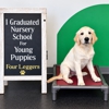 Four Leggers Pet Supplies & Services gallery