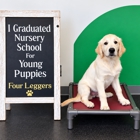 Four Leggers Pet Supplies & Services
