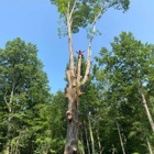 Reyes Tree Service