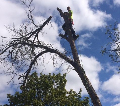 Jake's Lawn & Tree Service