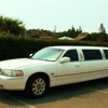 Vine Limo gallery