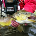 Idaho Fishing Outfitters