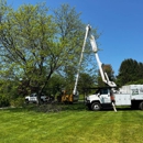 Kleber C Tree Service & Excavation - Tree Service