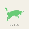 BS LLC gallery