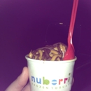 Nuberri Frozen Yogurt - Yogurt