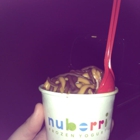 Nuberri Frozen Yogurt