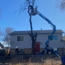 Noland Land & Tree - Tree Service