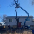 Noland Land & Tree