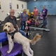 New Era Dog Training
