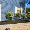 Lopez Tree Services and Landscaping gallery