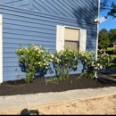 Lopez Tree Services and Landscaping - Arborists