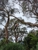Ocean Road Tree Services - Tree & Stump Removal Services