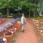 Csu Annual Flower Trial Garden