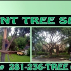 TNT Tree Service