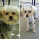 Fluff Buff Shine - Dog & Cat Grooming & Supplies