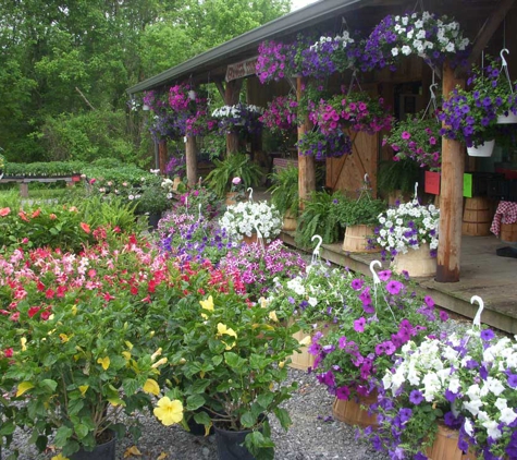 From the Ground Up - New Market, TN. Always a large assortment of Spring flowers.