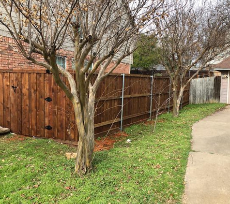 Buzz Custom Fence - Austin, TX