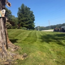 Castile lawn service - Landscape Designers & Consultants