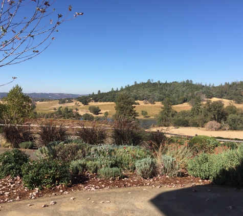 Helwig Winery - Plymouth, CA