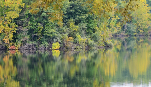 Locked  & Loaded Photography - Redford, MI