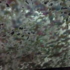 Ocean In Motion Car Wash