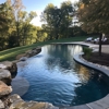 True Blue Pools gallery