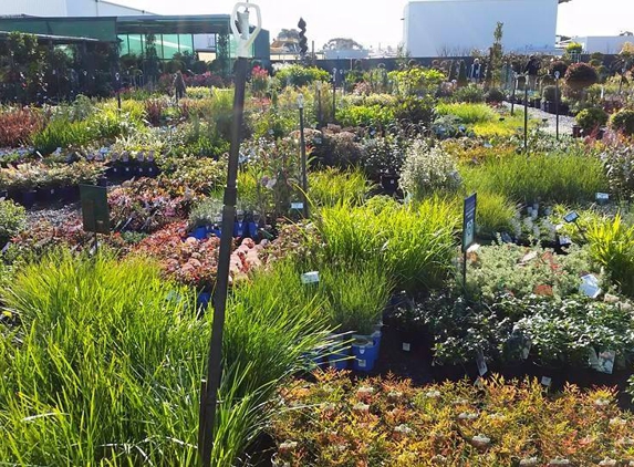 Wholesale Plants & Products Pty Ltd - Dry Creek, SA