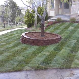 Real Solutions Landscaping - Colorado Springs, CO
