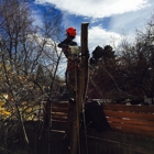 Colorado Tree Experts